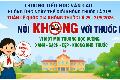 TRƯỜNG TIỂU HỌC VĂN CAO HƯỞNG ỨNG NGÀY THẾ GIỚI KHÔNG THUỐC LÁ 31/5 VÀ TUẦN LỄ QUỐC GIA KHÔNG THUỐC LÁ NĂM 2026